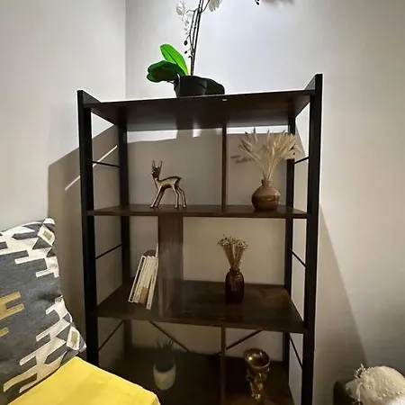 Duplex Saint Honore 파리